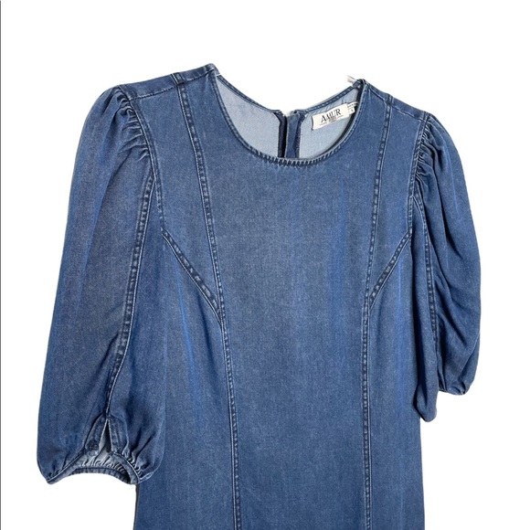 Amur | Emery Denim Ruffled Puff Sleeve Dress 6 - Picture 6 of 8